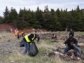 Beach Cleanup 3